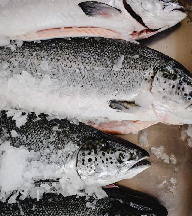 pexels-eva-bronzini-6149078